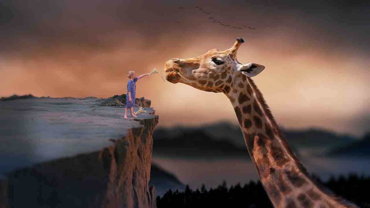 girafe, enfant, nature